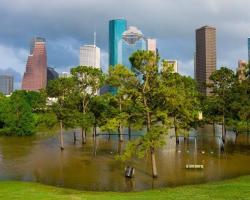 Flooding in Houston park